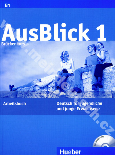 AusBlick 1 - Brückenkurs - pracovný zošit vr. audio CD k 1. dielu B1